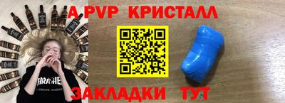 ешки Кингисепп
