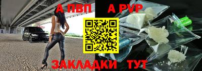 ешки Кингисепп