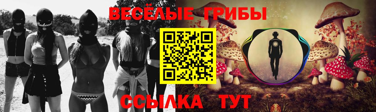 Псилоцибиновые грибы MAGIC MUSHROOMS Ялуторовск